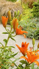 article image - 